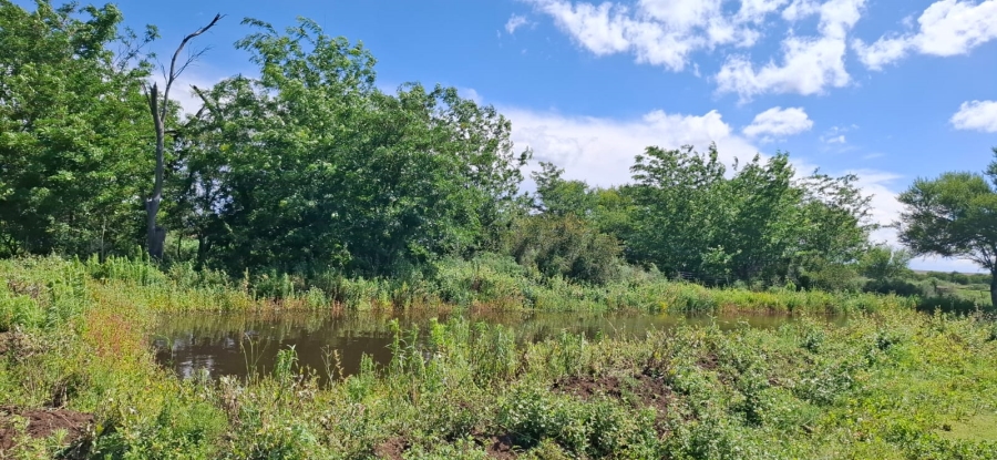 Commercial Property for Sale in Bloemfontein Rural Free State